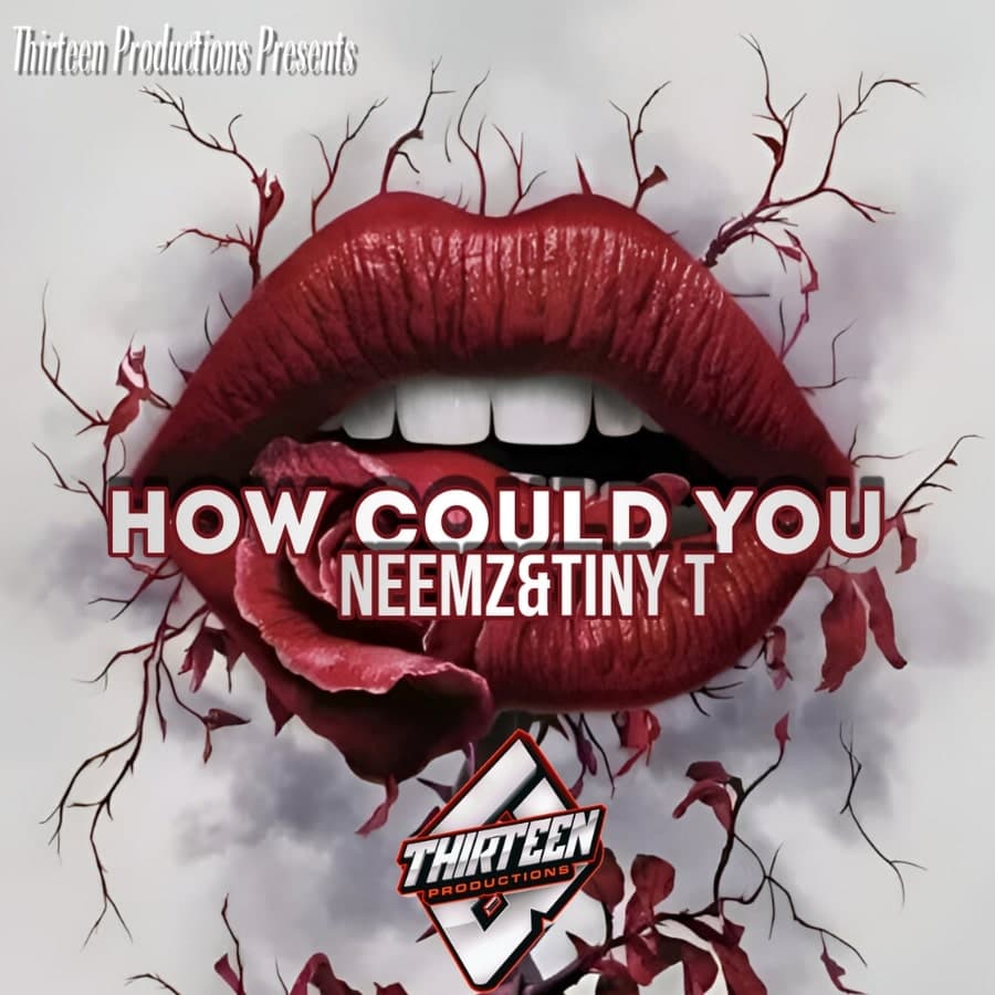 How Could You TinyT & Neemz Album Cover