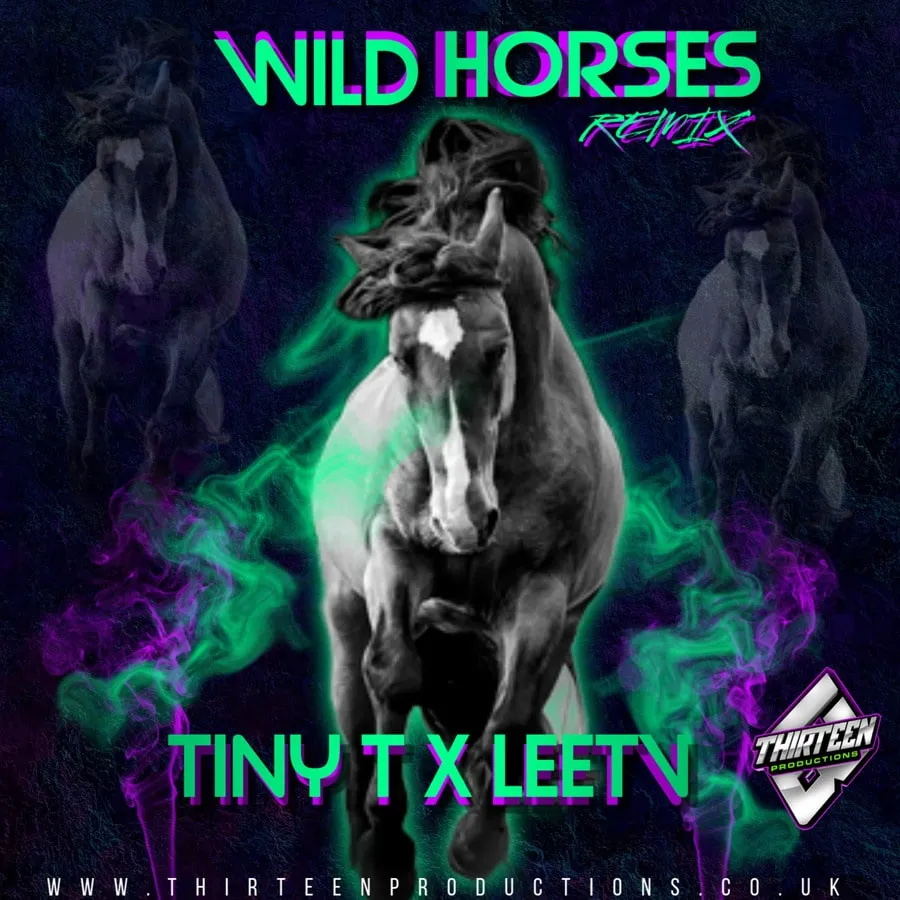Wild Horses Remix TinyT and Leetv Album Cover